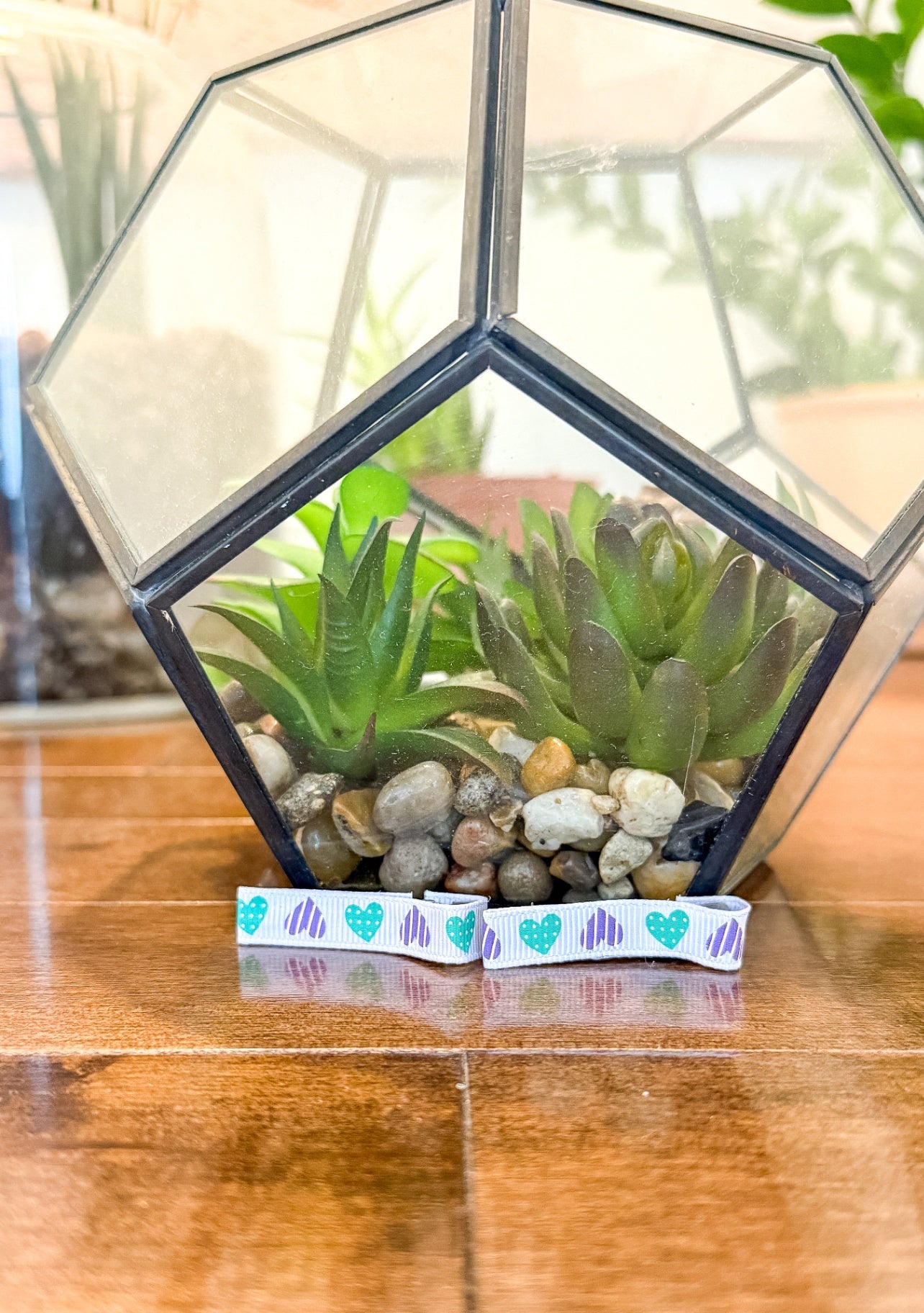 Small Shop Multicolor Hair Clip Set