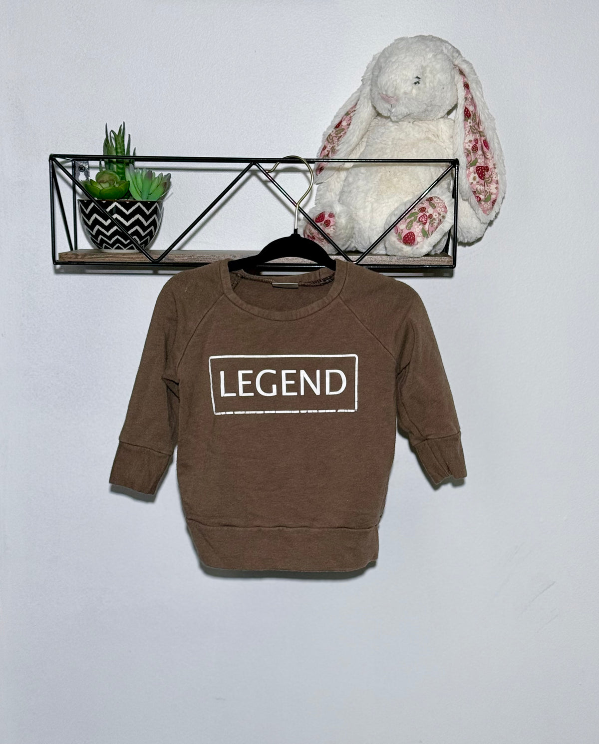 Posh & Cozy Long Sleeve Shirt