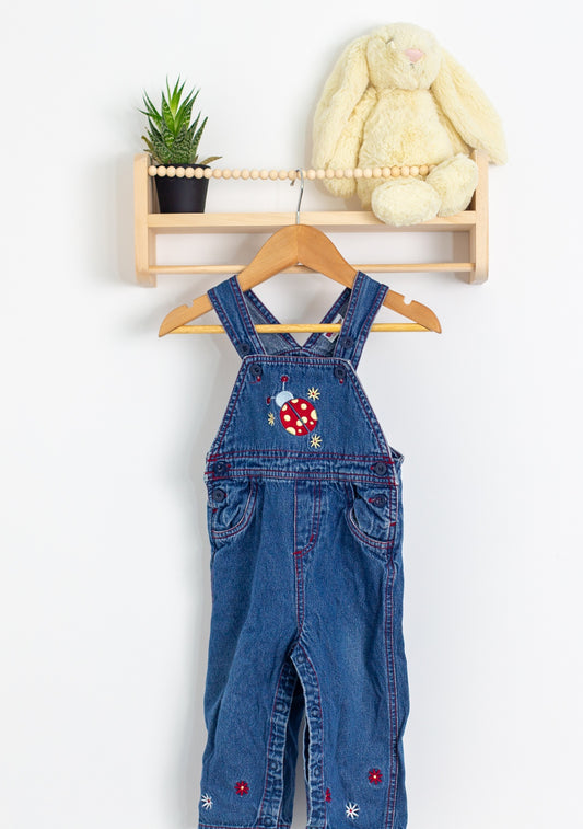 Vintage overalls with lady bug