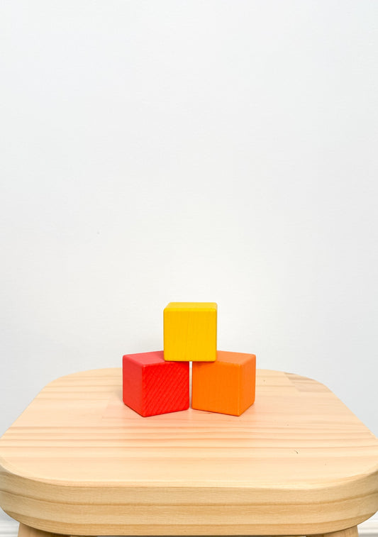 Lovevery First Blocks (From the Explorer Play Kit 9-10M)