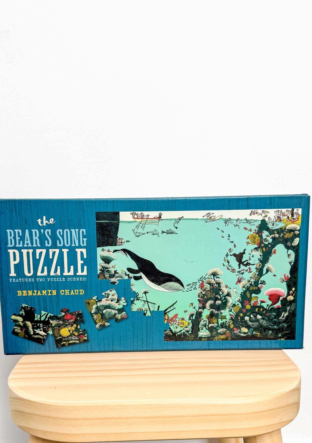 The Bear's Song Puzzle by Benjamin Chaud