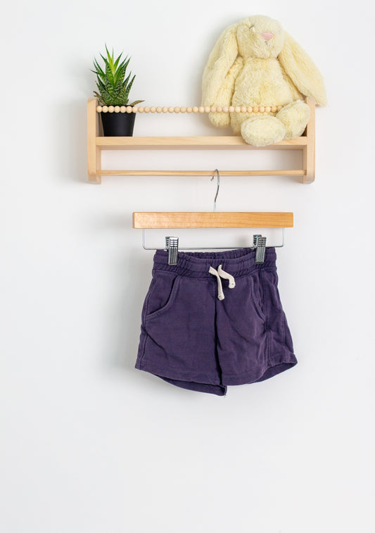 Zara 2-3Y Purple Blue Shorts Play