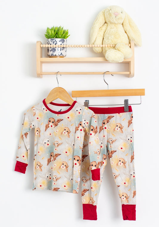 Slumberly 2T Owl Mail Pajamas