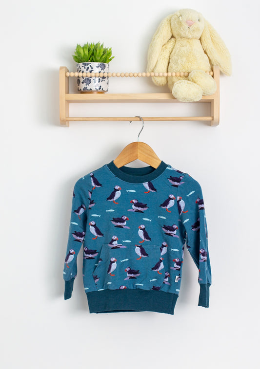 Little Ridley 2T Blue Puffin Pullover