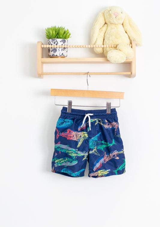 Carters 3 Multicolor Swim Trunks