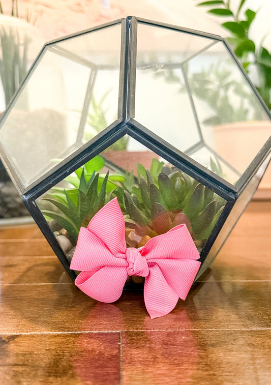 Small Shop Pink Bow