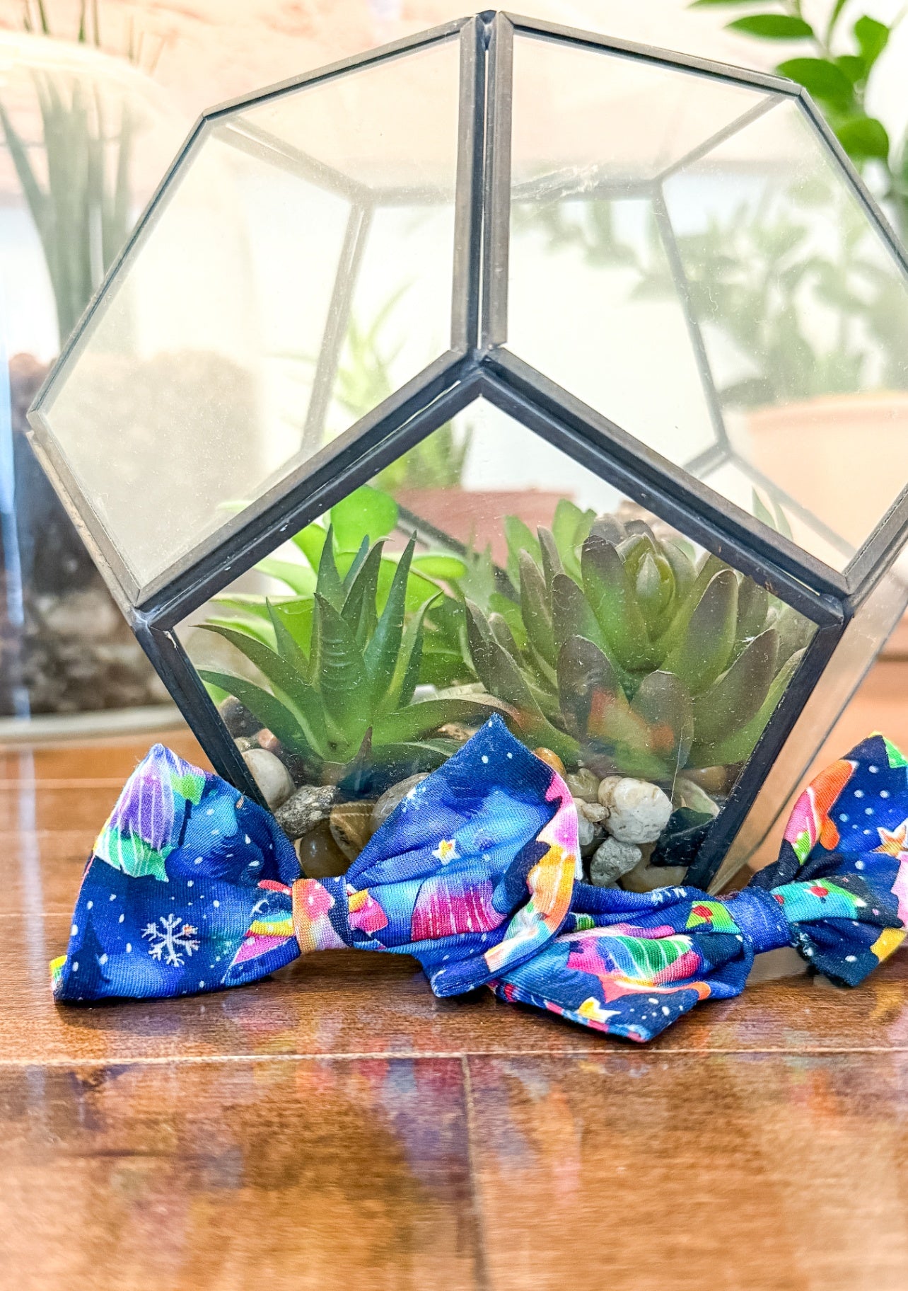 Small Shop Multicolor Bamboo Bow Set