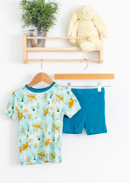 Ploom Baby 3T Turtle Short Set